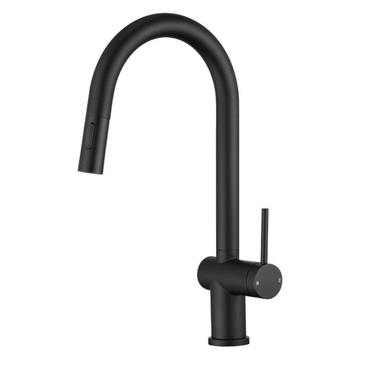 Suizak Kitchen Faucet With Pull Out Spray |SZF11802MB
