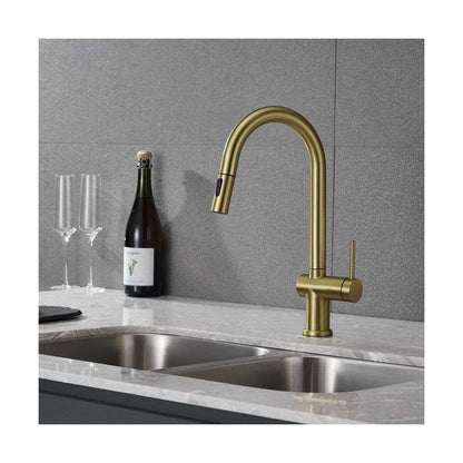 Suizak Kitchen Faucet With Pull Out Spray |SZF11804BG