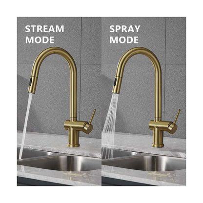 Suizak Kitchen Faucet With Pull Out Spray |SZF11804BG
