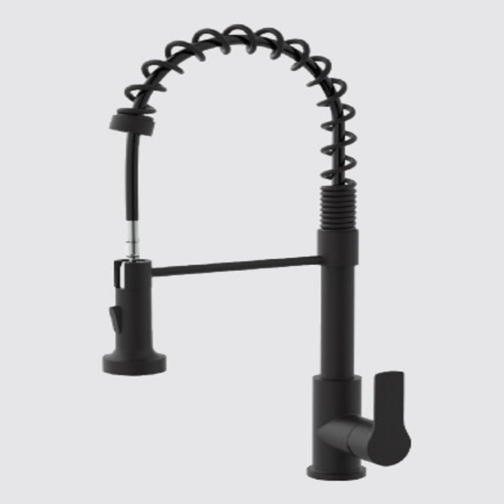 Suizak Kitchen Faucet with Swivel and Flexible Spout |SZF42217MB